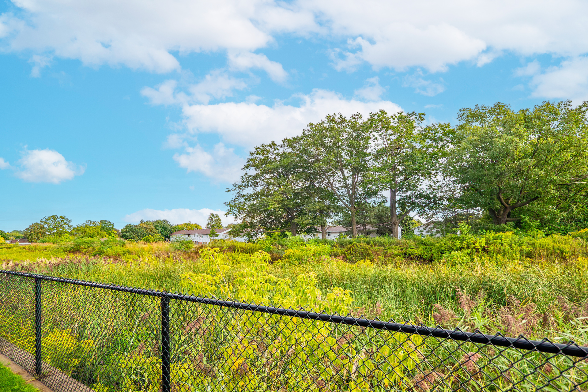 Beautiful curb appeal of Cambridge townhome